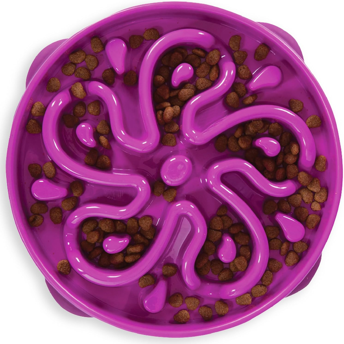 Hound Feeder Slo Bowl 4 tasses mauve motif