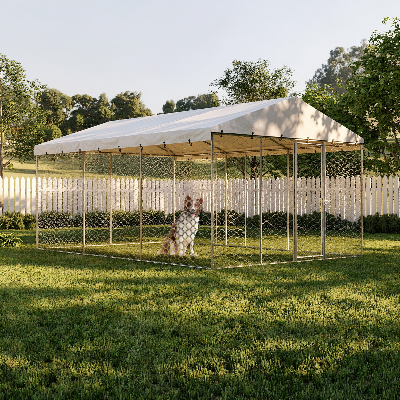 Chenil chien 15x10 FT, auvent, acier, couverture, clôture