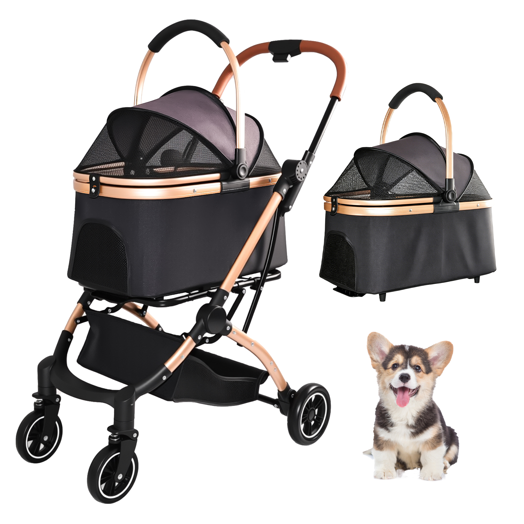 Poussette animal 2-en-1 4 roues pliable noir or
