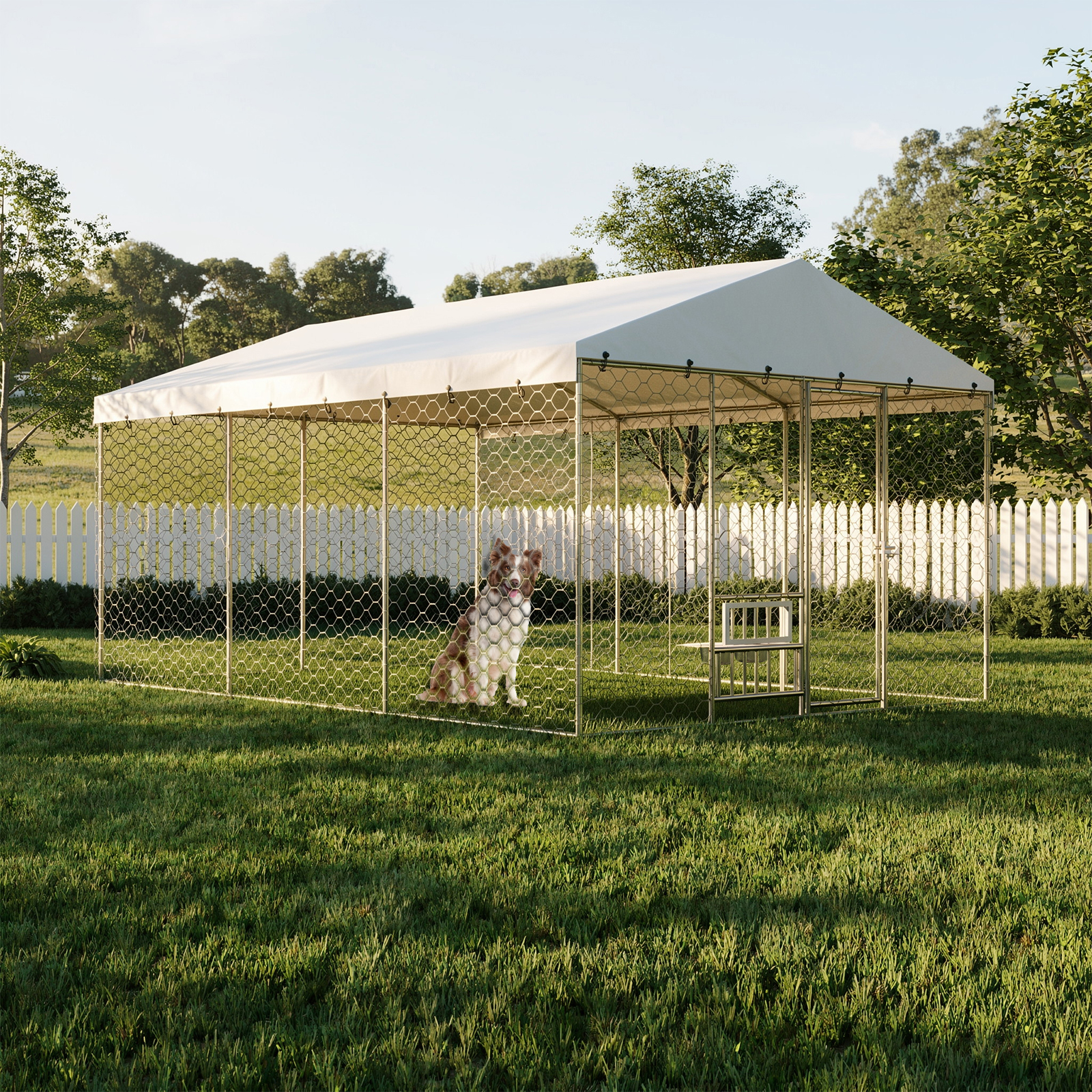Chenil extérieur 15x10 FT acier galvanisé, canopée