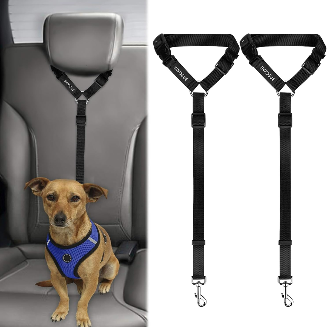 Ceinture sécurité auto chien 2 pack avec retenue appuie-tête