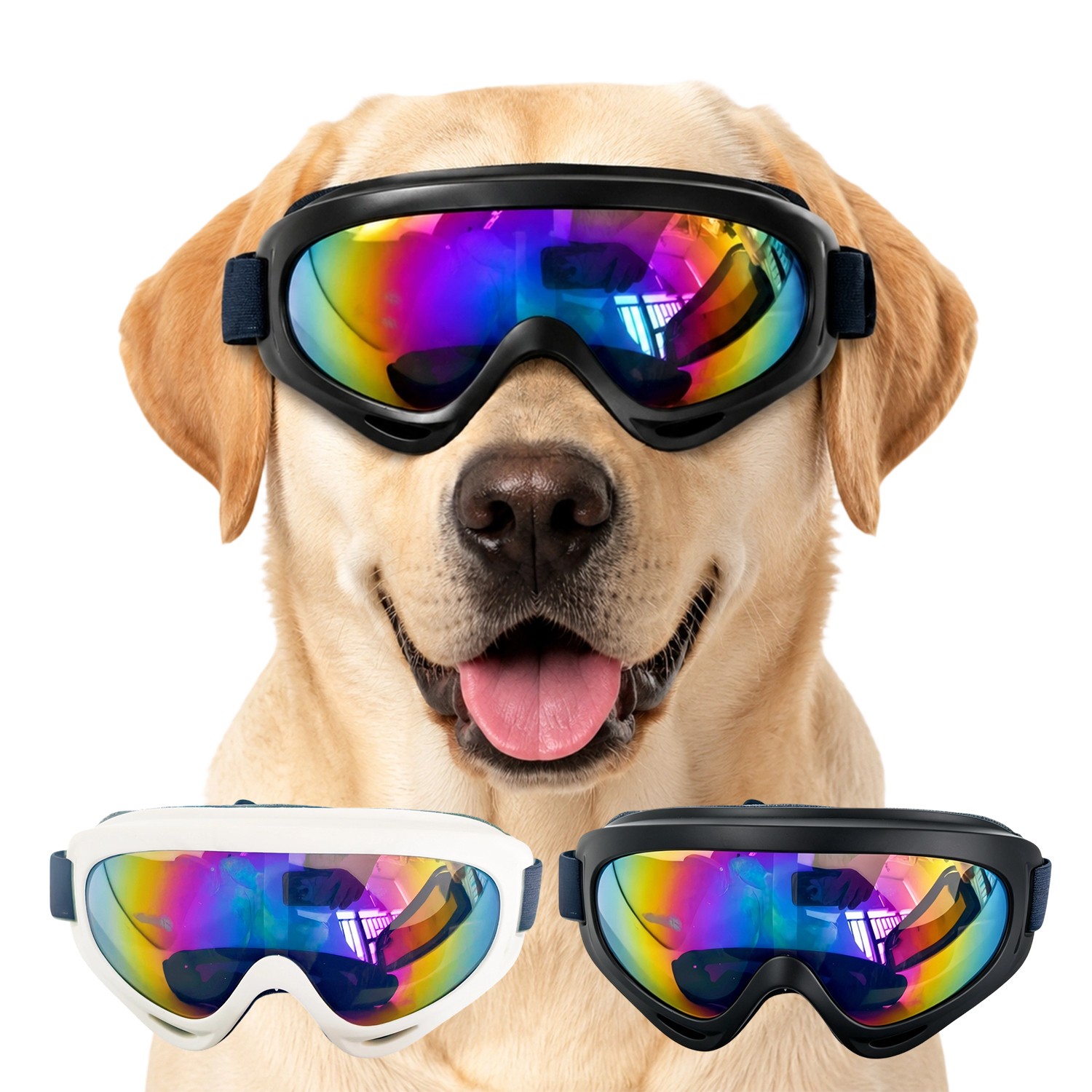Lunettes de soleil pour chiens petites races