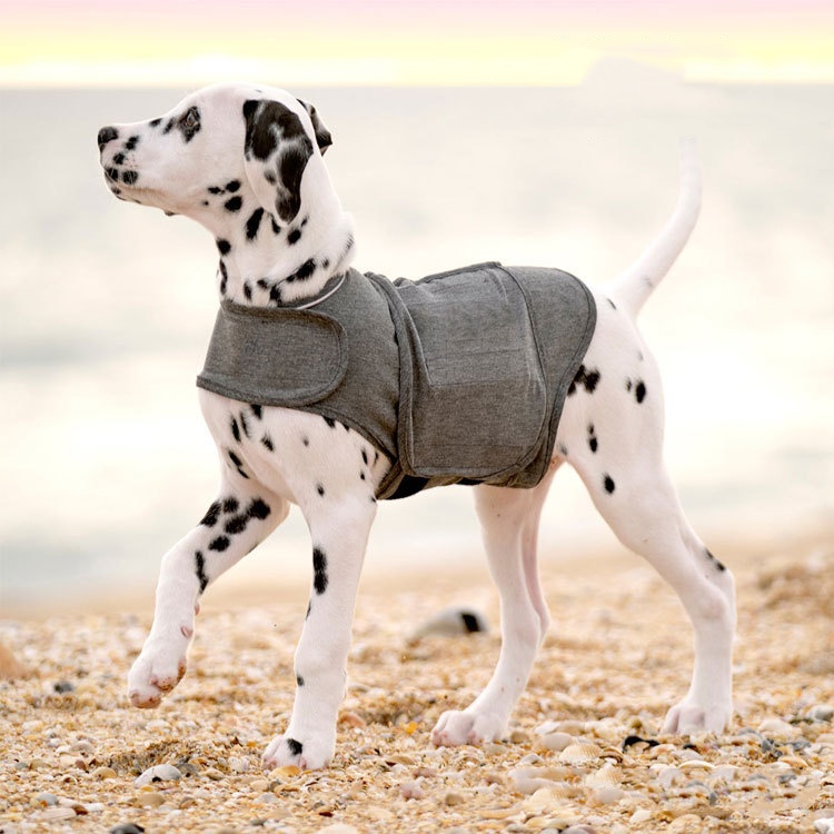 Veste anxiété chien chaud vêtement animal
