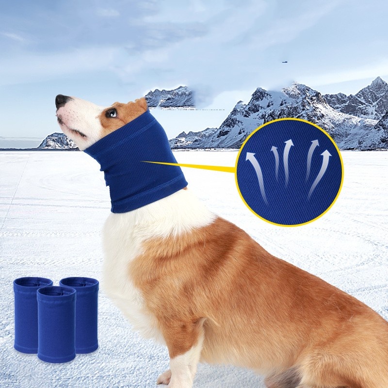 Bandeau confort chien - Foulard