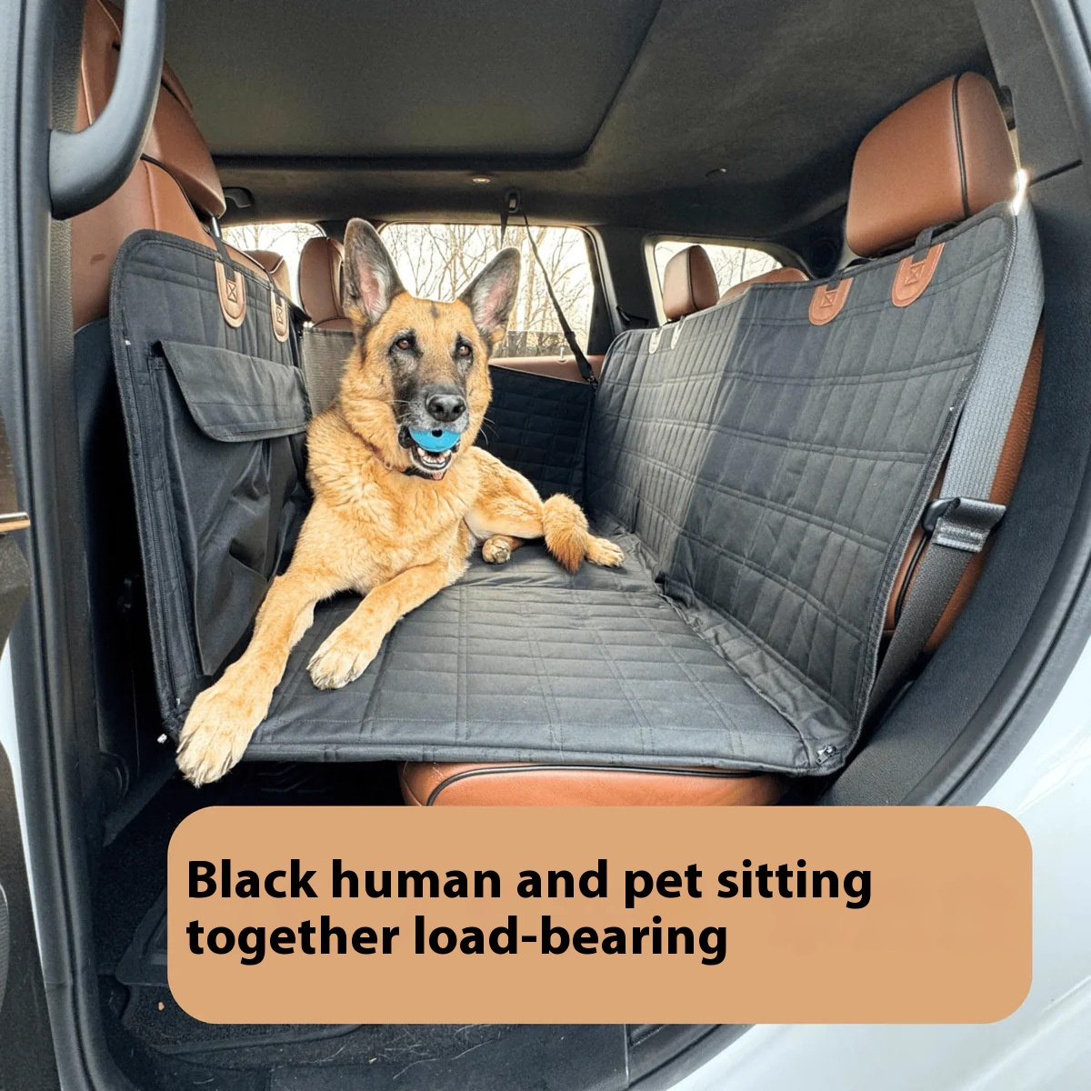 Lit chien auto assis arrière coussin support élargi