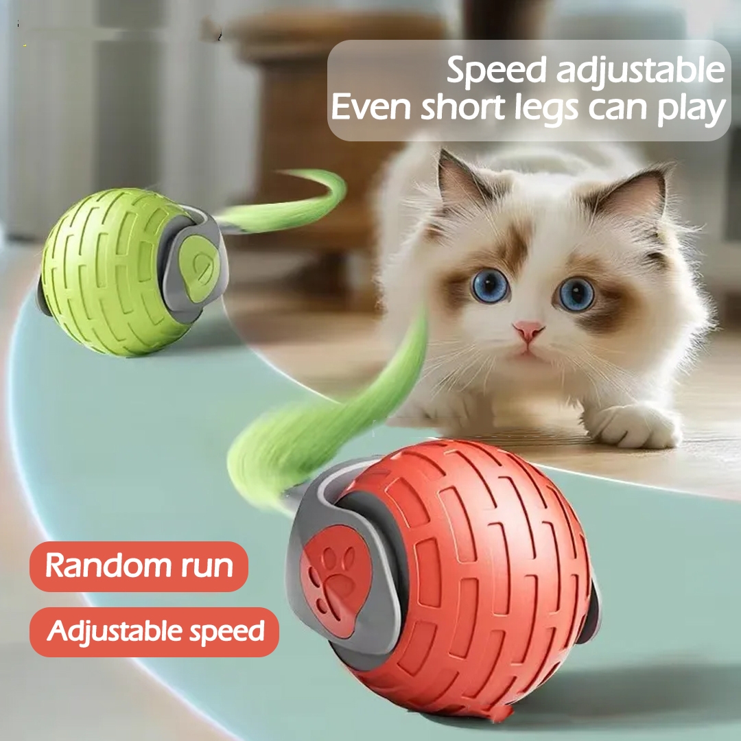 Jouet chat balle roulante électrique interactive USB rechargeable