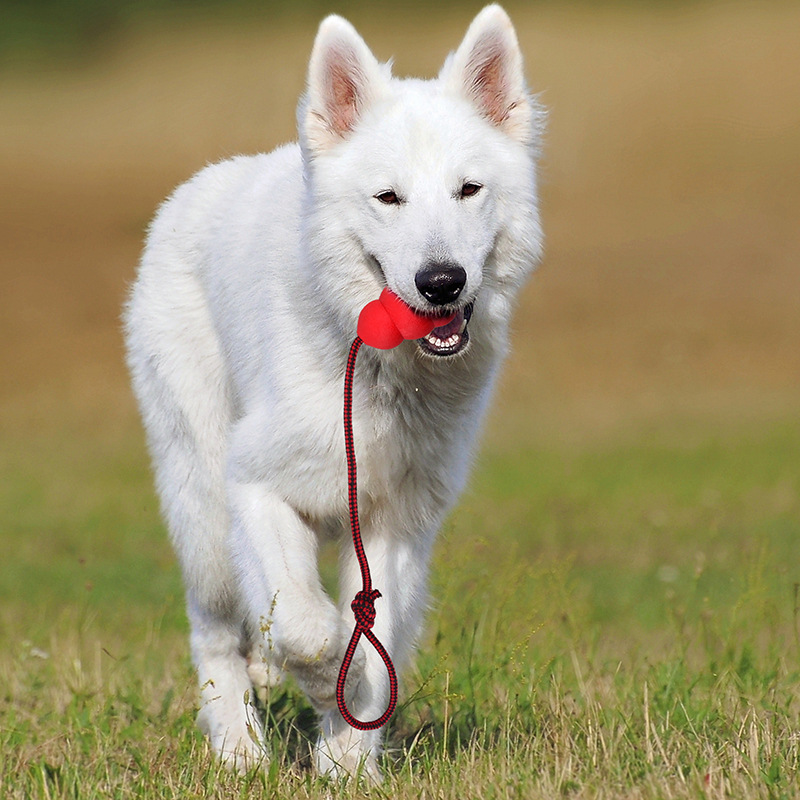 Jouet corde en caoutchouc naturel pour animaux