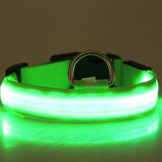 Collier lumineux LED animaux chien nuit