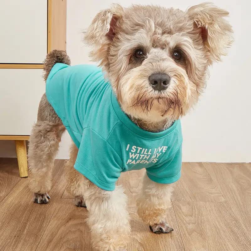 Vêtements animaux t-shirt col rond