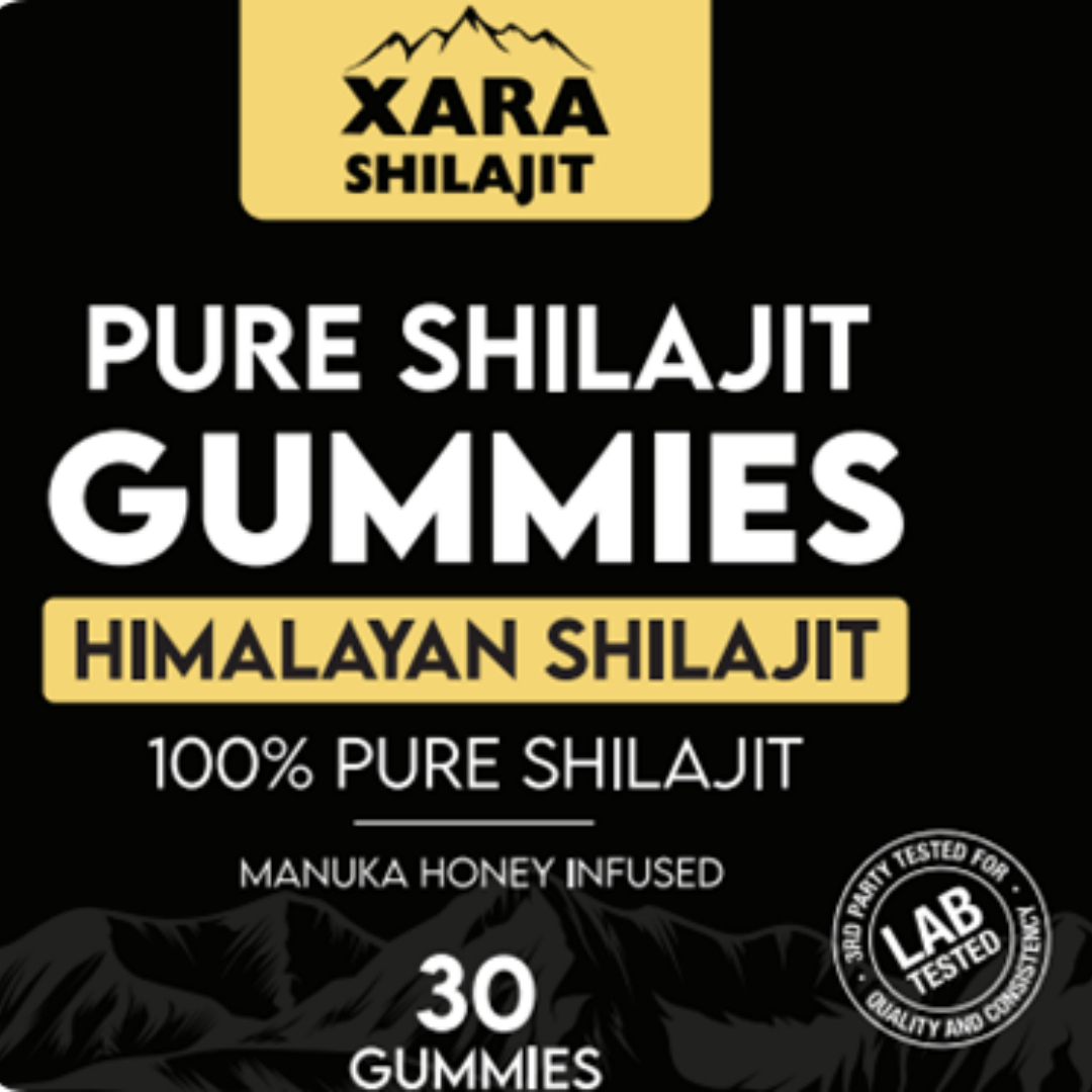 SHILAJIT Gommes Supplément Santé