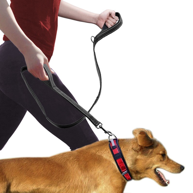 Laisse double poignée pour chien