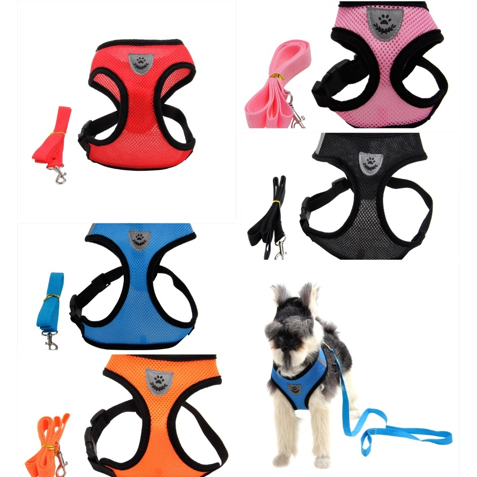 Harnais chien multicolore élégant haut de gamme