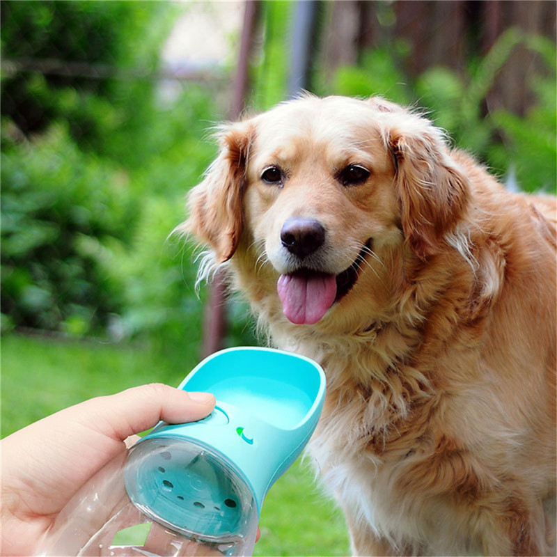 Bouteille d'eau portable pour animaux