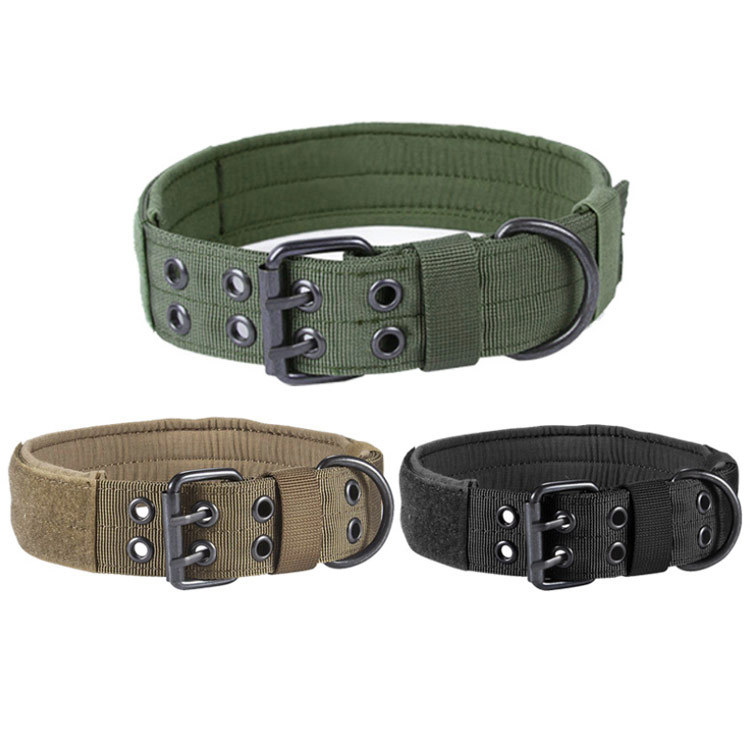 Collier/laisse chien anti-usure nylon