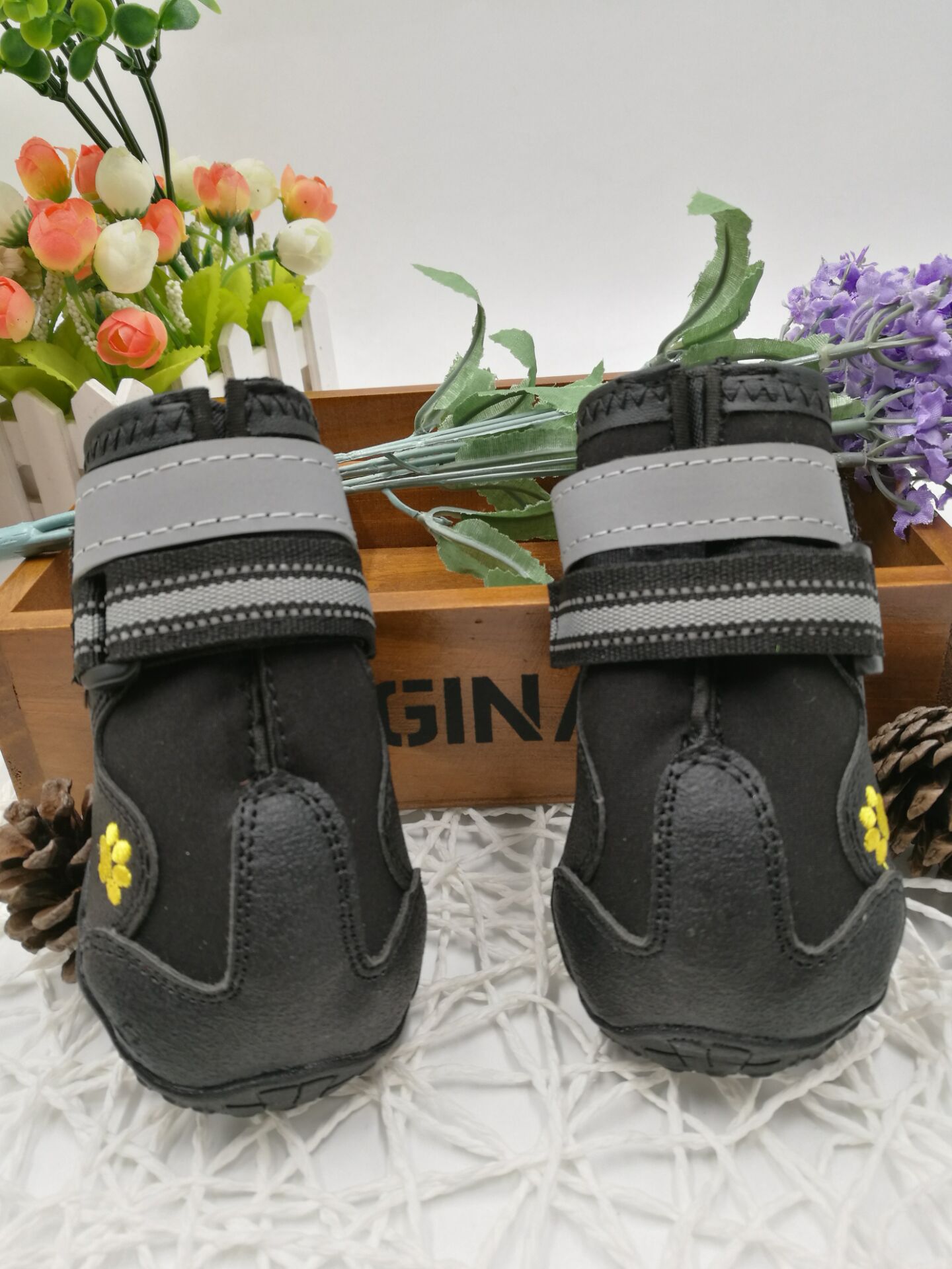 Chaussures pour chiens