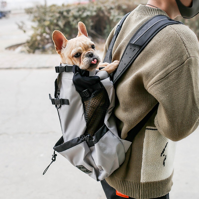 Sac transport chien sac à dos double bretelle
